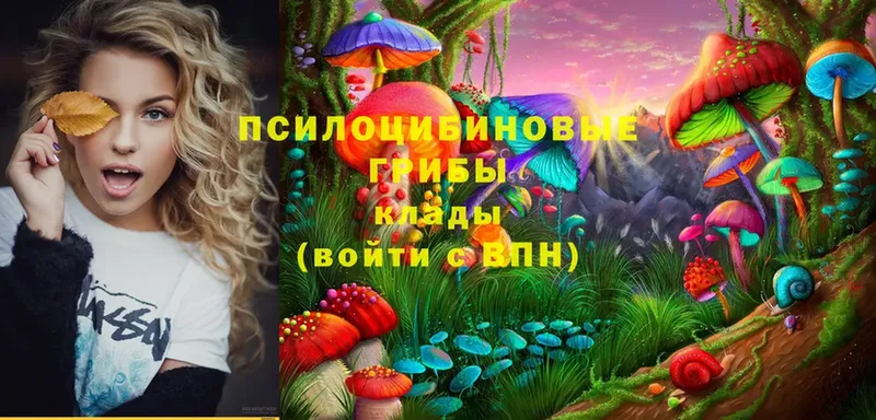 mega зеркало  купить наркотики цена  Татарск  Псилоцибиновые грибы MAGIC MUSHROOMS 